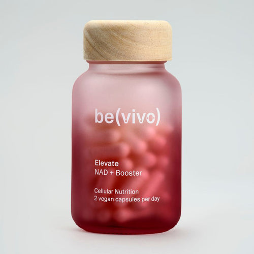 Bevivo Elevate - 30 dagers prøveversjon
