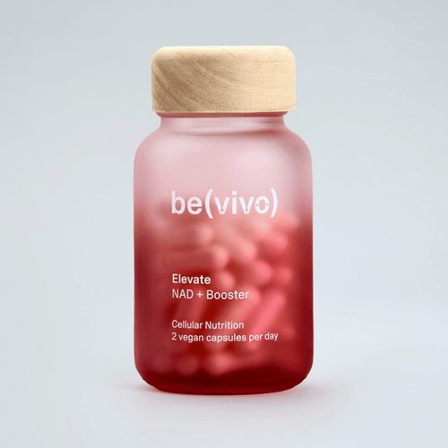 be(vivo) Elevate